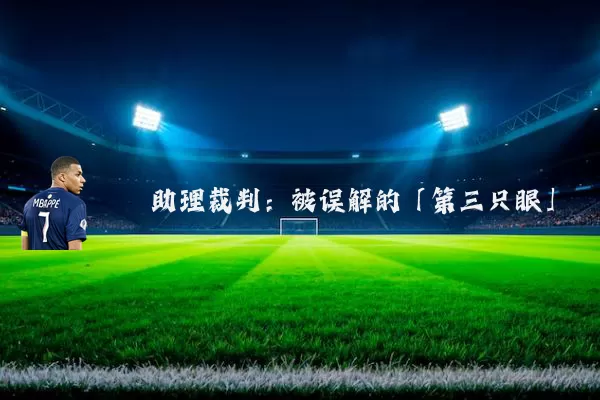 助理裁判:被误解的「第三只眼」